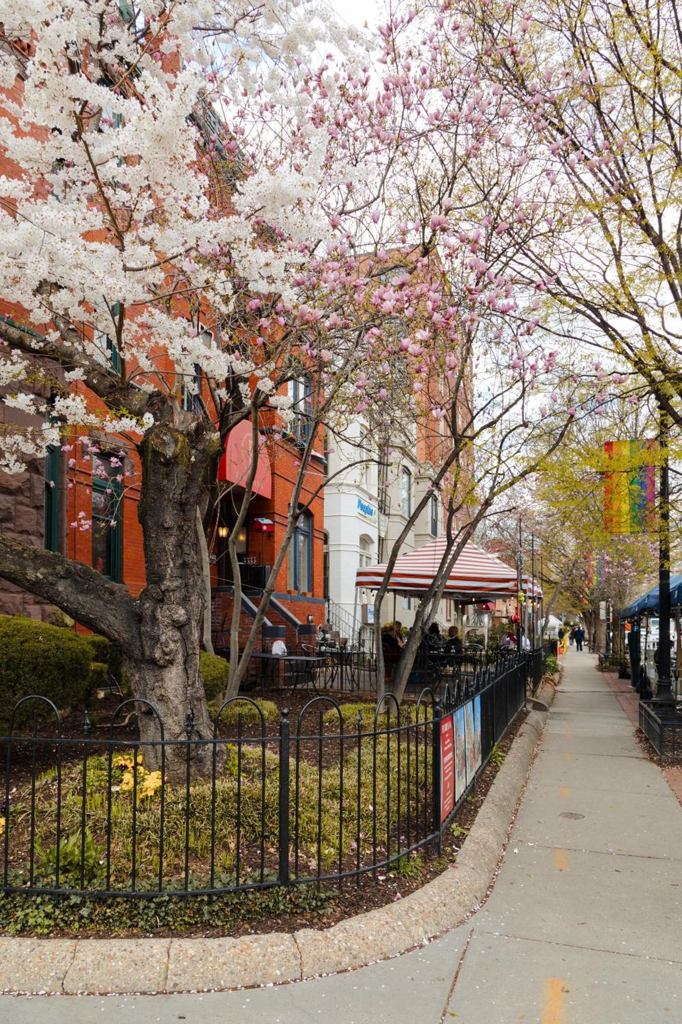 Dupont Circle Embassy Inn By Found واشنطن المظهر الخارجي الصورة